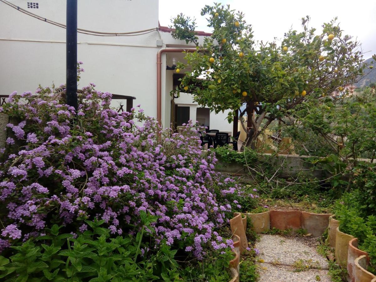 Sa Corte Antiga Nebida Bagian luar foto
